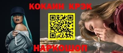 спайс Кингисепп
