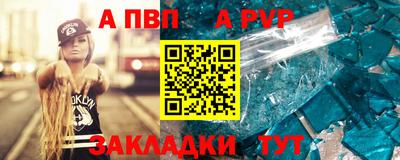 спайс Кингисепп