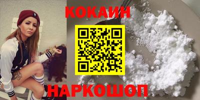 спайс Кингисепп