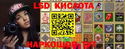 спайс Кингисепп