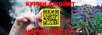 спайс Кингисепп
