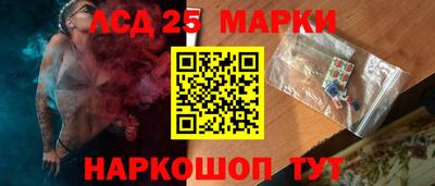 спайс Кингисепп