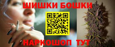 спайс Кингисепп