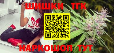 спайс Кингисепп