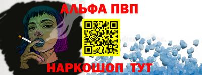 спайс Кингисепп