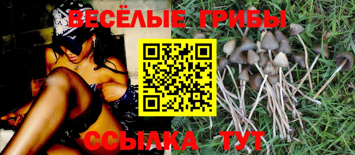 Галлюциногенные грибы мухоморы Малгобек