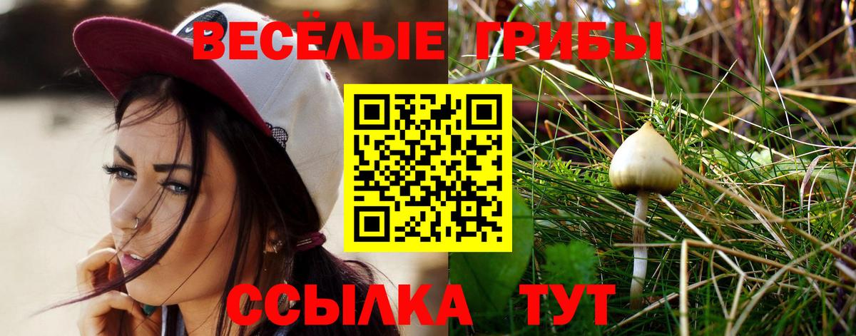 Псилоцибиновые грибы Psilocybine cubensis  Галлюциногенные грибы Psilocybe  Малгобек  Вход с VPN 